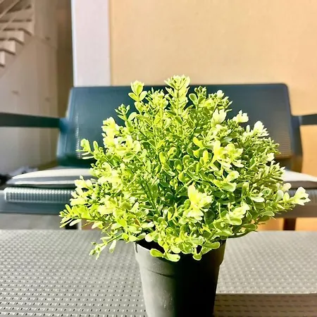 Apartmán La Casa De Flores Costa De Antigua