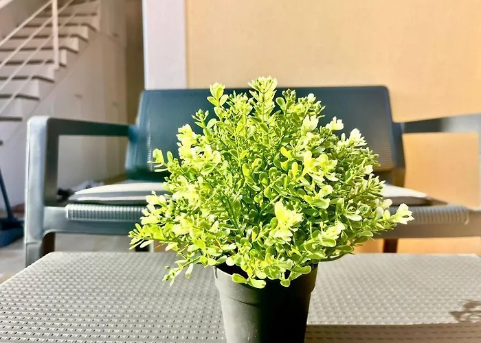 Apartmán La Casa De Flores Costa De Antigua